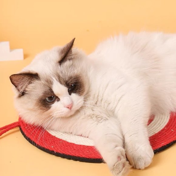 🎄Christmas gift for your cat - Target cat scratching carpet - Picture 2 of 5